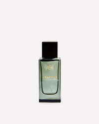 Graphite Cologne