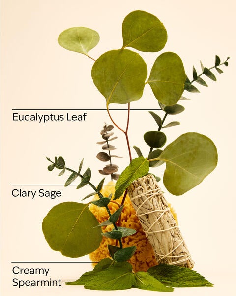 Eucalyptus Spearmint Essential Oil Mist