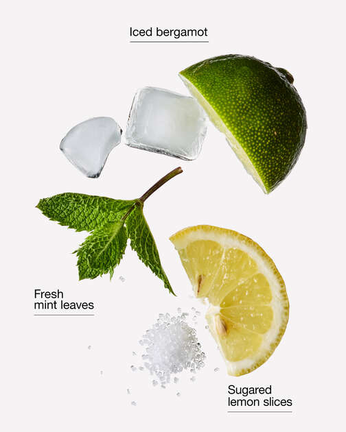 Chilled Lemon Frost Wallflowers Fragrance Refill