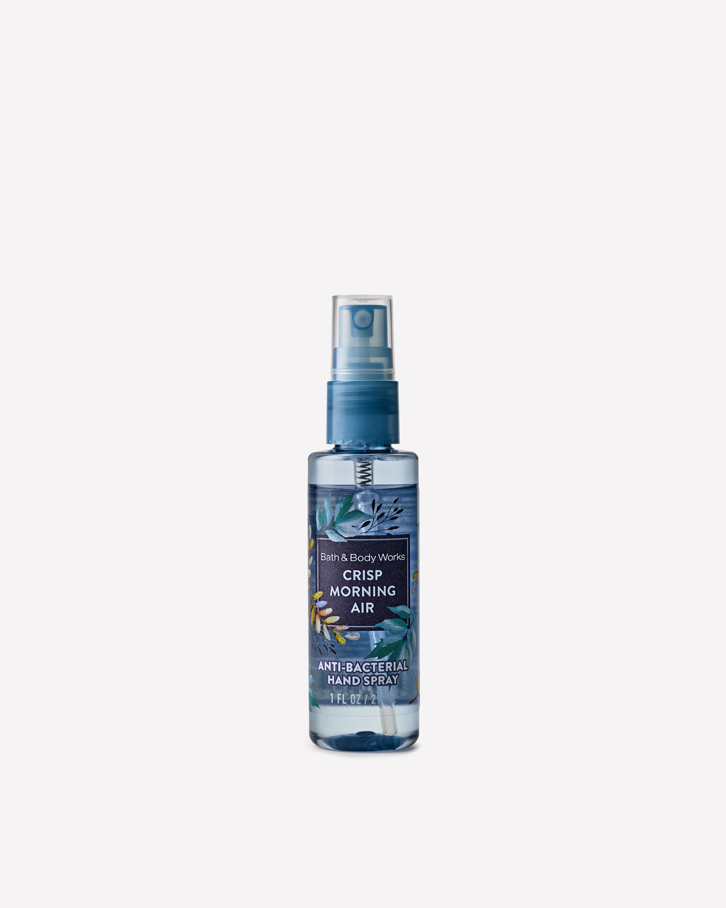 Crisp Morning Air Hand Sanitizer Spray | Bath & Body Works