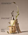 Lavender Vanilla Wallflowers Fragrance Refill