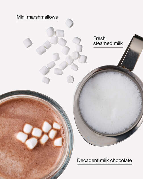 Hot Cocoa & Cream Wallflowers Refills 2-Pack