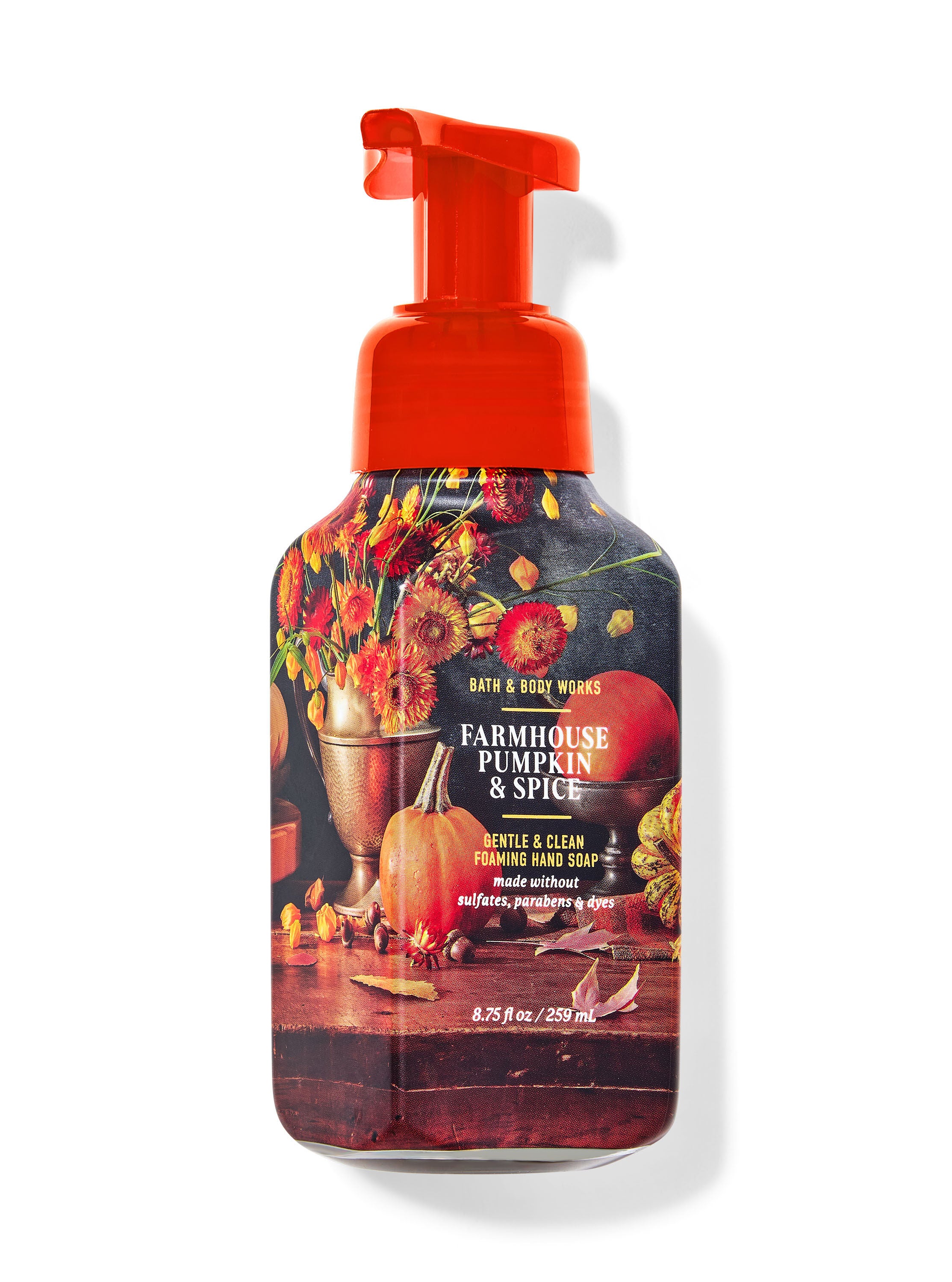 BBW ❁　ファームハウスパンプキン&スパイス　Bath and body Bath&Body Works Farmhouse Pumpkin & Spice Gentle & Clean Foaming