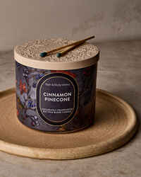 Cinnamon Pinecone 3-Wick Candle