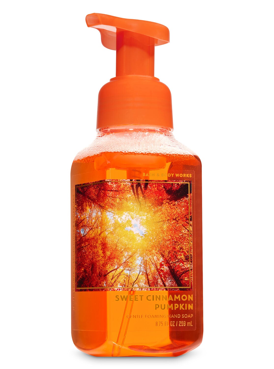 Sweet Cinnamon Pumpkin Gentle Foaming Hand Soap - Bath And Body Works