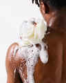 Santal Ridge 3-in-1 Hair, Face & Body Wash