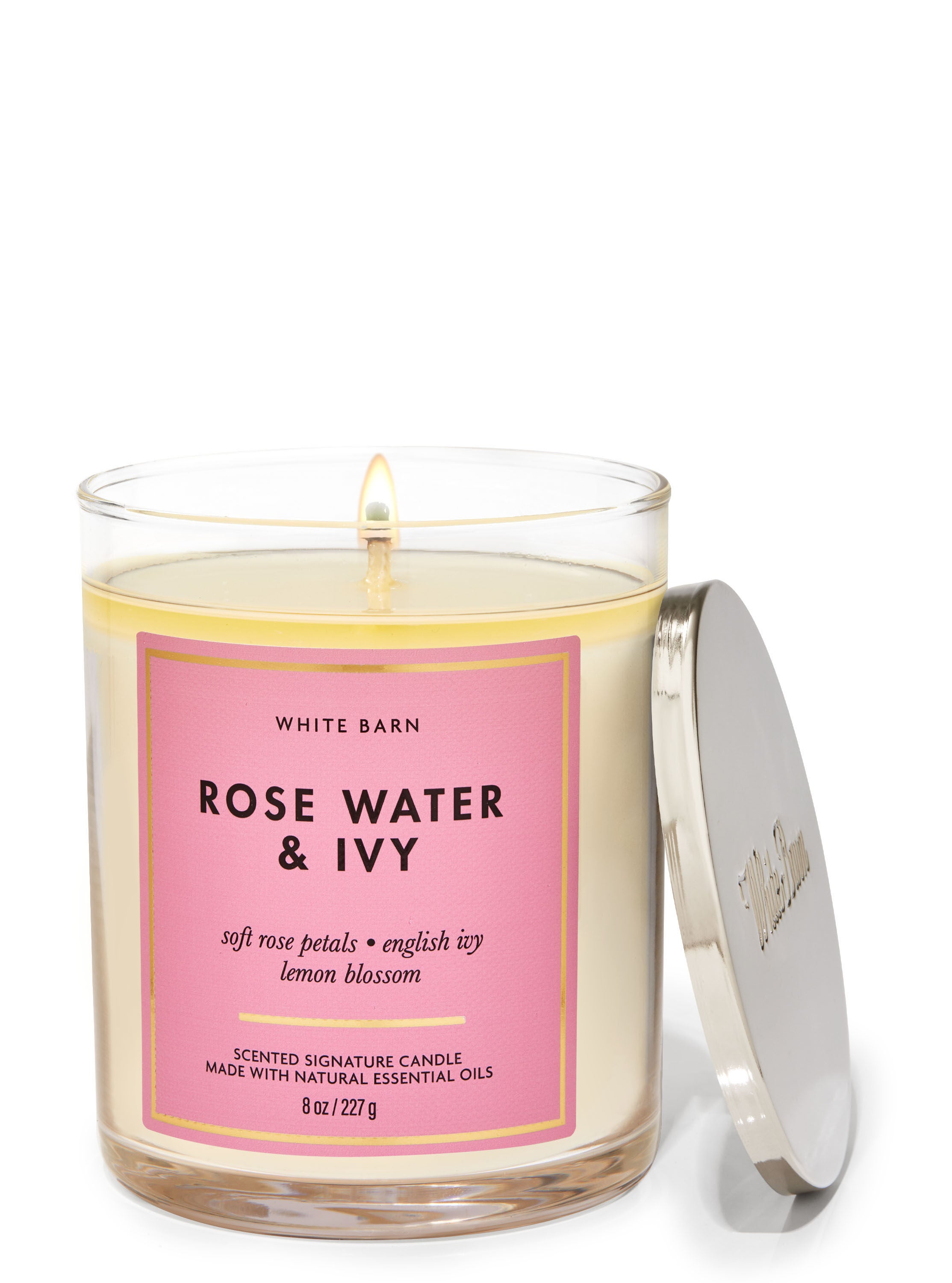 Rose Water & Ivy Signature Single Wick Candle