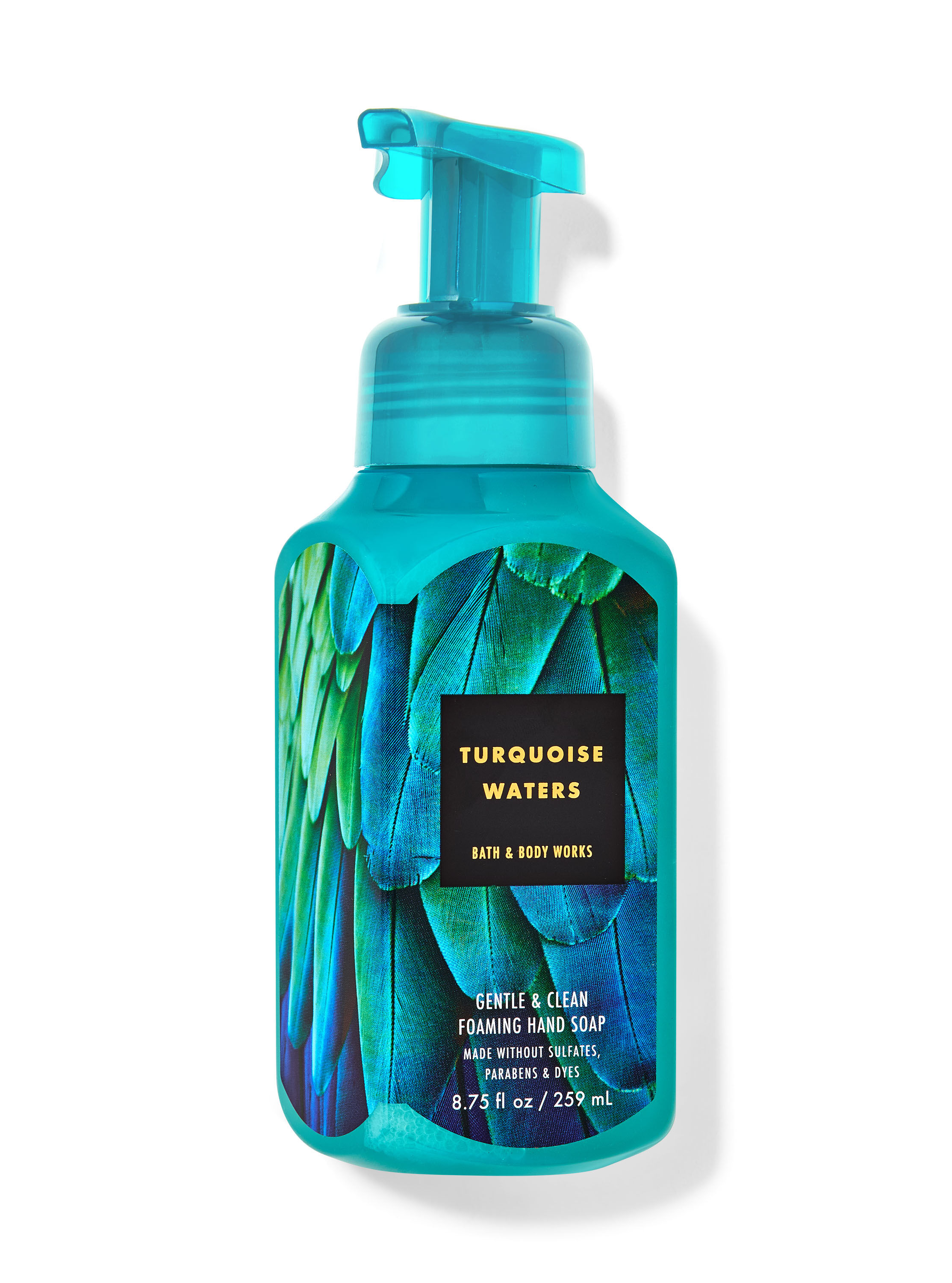 Turquoise Waters Gentle & Clean Foaming Hand Soap