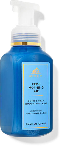 Crisp Morning Air Gentle &amp;amp; Clean Foaming Hand Soap