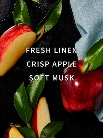 Sun-Drenched Linen Laundry Detergent - White Barn | Bath & Body Works