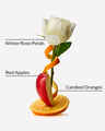 Winter Candy Apple PocketBac Hand Sanitizer