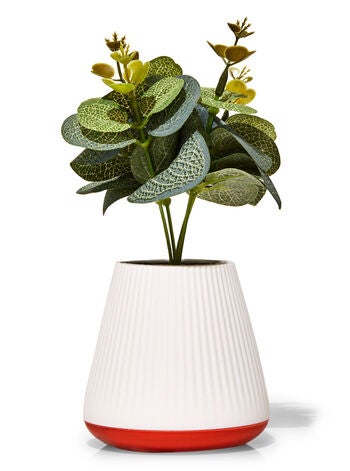 Desk House Plant Pocketbac Holder Bath Body Works