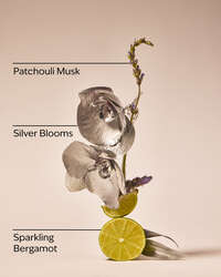 Platinum Fine Fragrance Mist