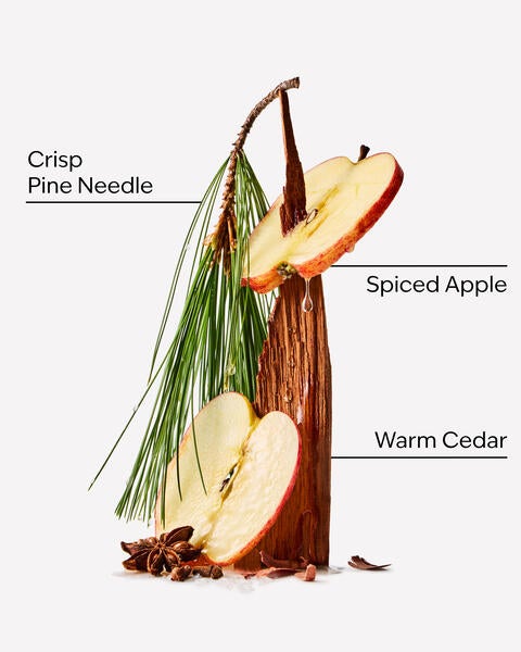 Tree Farm Hanging Fragrance Diffuser
