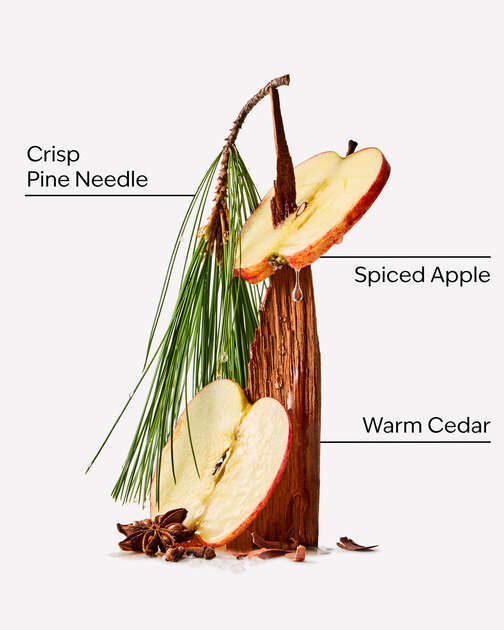 Tree Farm Hanging Fragrance Diffuser