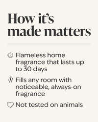 Gingham Wallflowers Fragrance Refill