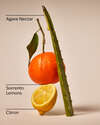 Sun-Washed Citrus Wallflowers Refills 2-Pack