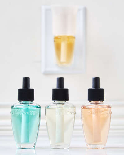 Sunwashed Citrus Wallflowers Refills 2-Pack