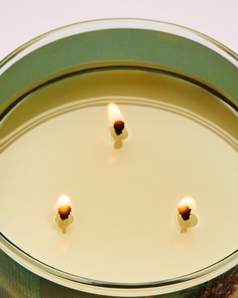 Meet Me in Miami 3-Wick Candle