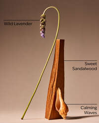 Oceanside Lavender Car Fragrance Refill