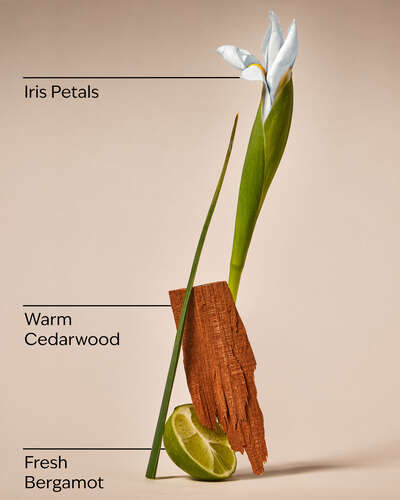 White Iris & Cedarwood Gentle & Clean Foaming Hand Soap