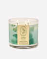 Eucalyptus Spearmint 3-Wick Candle