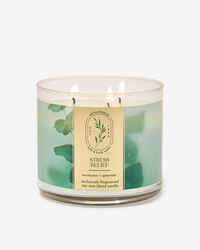 Eucalyptus Spearmint 3-Wick Candle