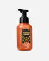 Pumpkin Carving Gentle & Clean Foaming Hand Soap