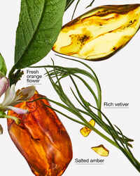 Salted Amber & Vetiver Gentle & Clean Foaming Hand Soap