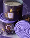 Sally 3-Wick Candle