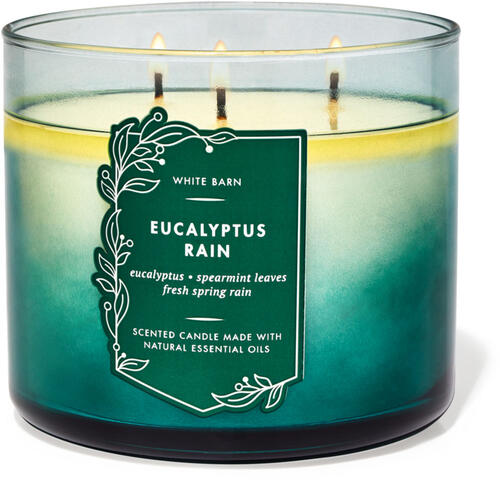 Eucalyptus Rain 3-Wick Candle