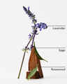 Lavender + Jasmine Room Mist