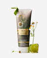 Black Chamomile Ultimate Hydration Body Cream