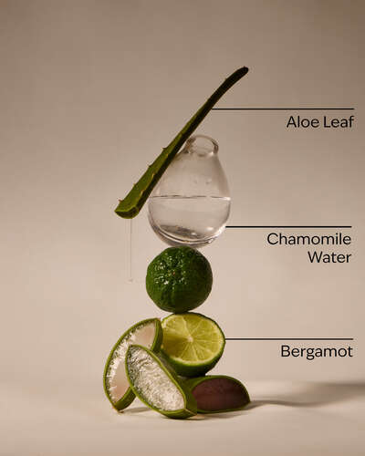 Fresh Rainfall Hand Sanitizer Spray