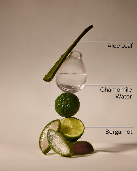 Fresh Rainfall Hand Sanitizer Spray