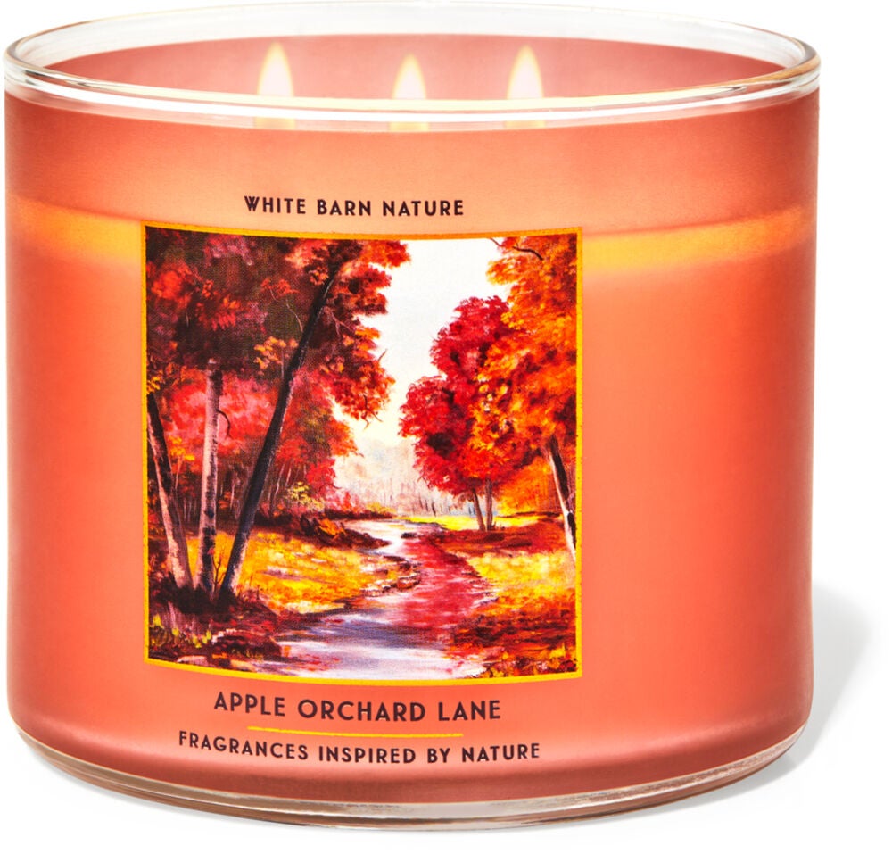 3-wick Candle Bath & Body Works Slatkin 14.5 oz You Pick Scent 