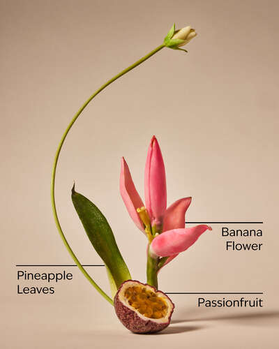 Bahamas Passionfruit & Banana Flower Body Lotion