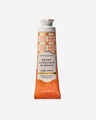 Sweet Cinnamon Pumpkin Hand Cream