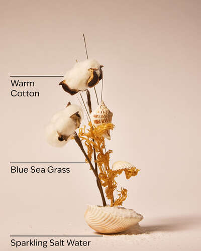 Beach Blanket Wallflowers Fragrance Refill