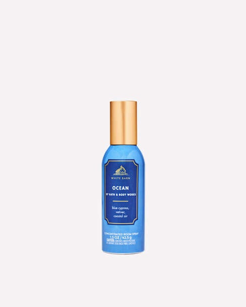 Ocean Concentrated Room Spray