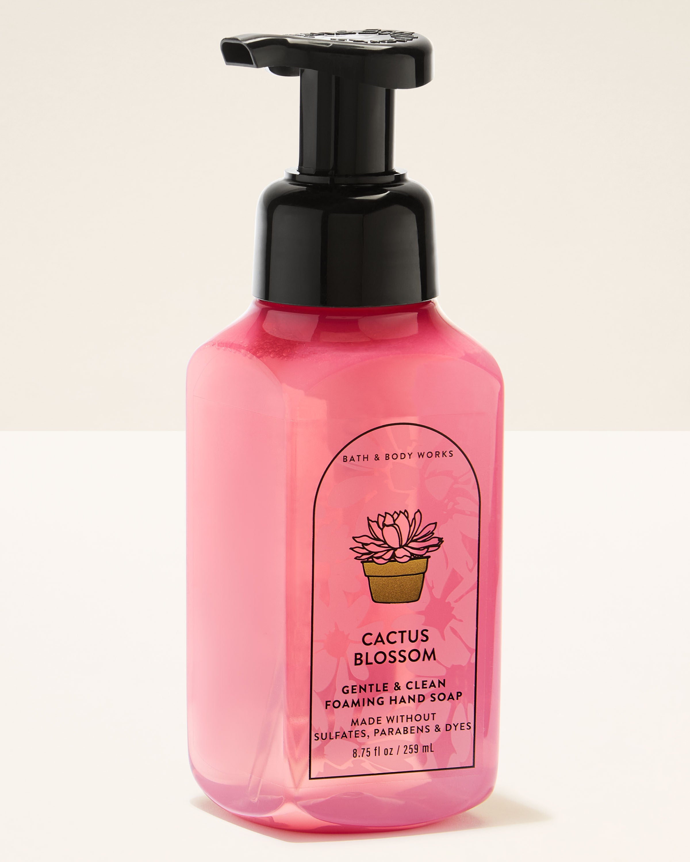 Cactus Blossom Foaming Hand Soap | Bath & Body Works
