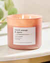 Sweet Orange & Agave 3-Wick Candle