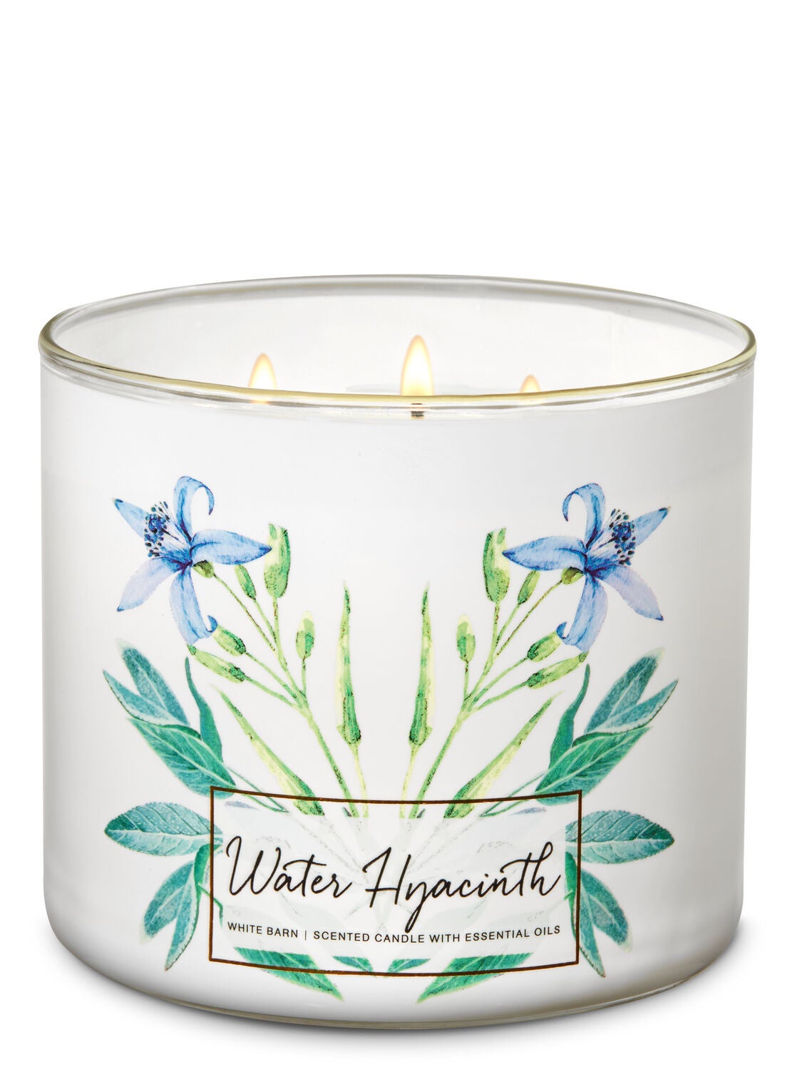 Water Hyacinth 3-Wick Candle - Bath And Body Works