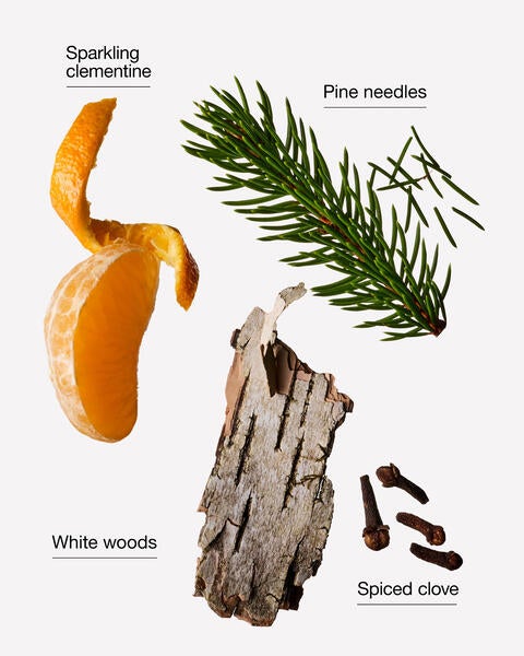Winter Wallflowers Fragrance Refill