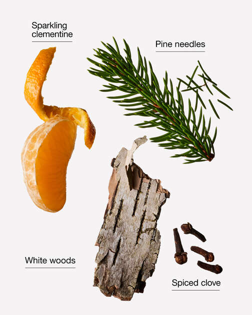 Winter Wallflowers Fragrance Refill