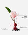 Oh Cherry Fine Fragrance Mist