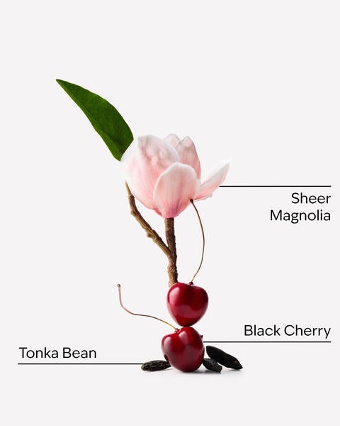 Oh Cherry Fine Fragrance Mist