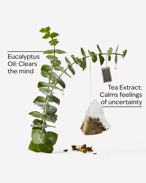 Eucalyptus Tea Moisturizing Body Lotion