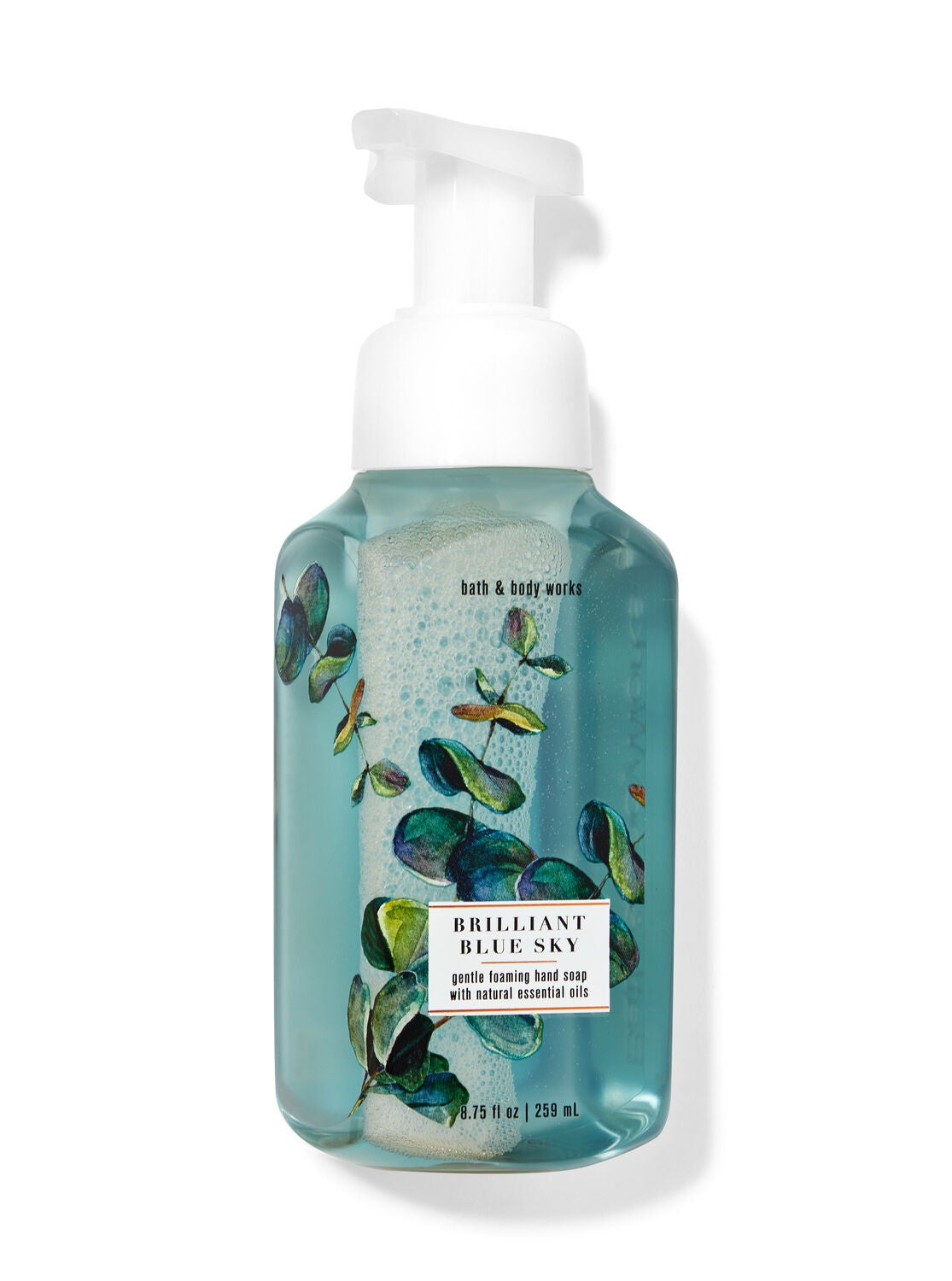 Brilliant Blue Sky Gentle Foaming Hand Soap