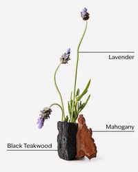 Mahogany Teakwood Hanging Fragrance Diffuser